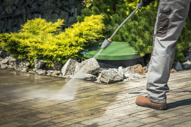 Best Oil Spill Cleanup  in Placentia, CA