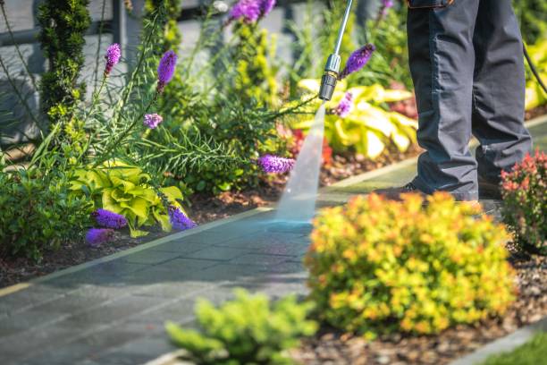 Best Pool Deck Cleaning  in Placentia, CA