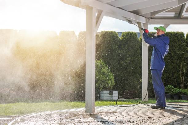 Best Graffiti Removal  in Placentia, CA